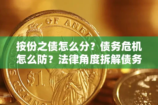 北京按份之债怎么分？债务危机怎么防？法律角度拆解债务分配与风险自保指南