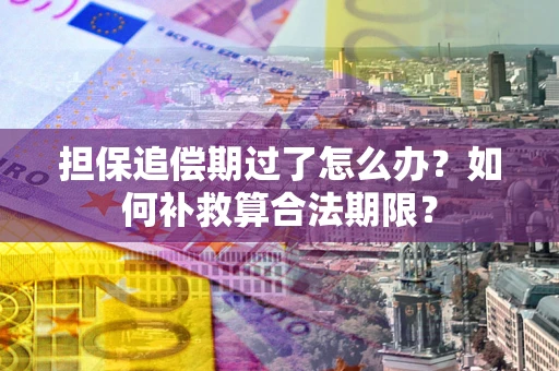北京担保追偿期过了怎么办？如何补救算合法期限？