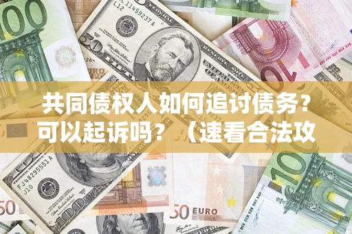 北京共同债权人如何追讨债务？可以起诉吗？（速看合法攻略）