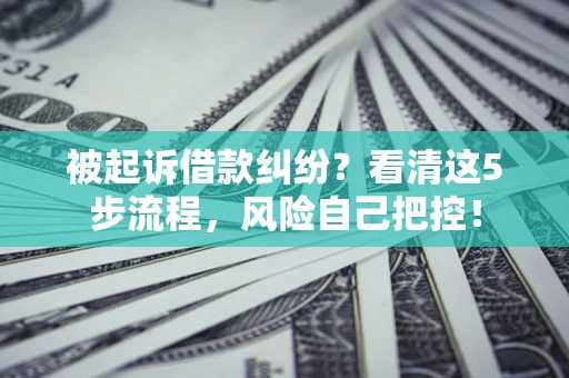 北京被起诉借款纠纷？看清这5步流程，风险自己把控！