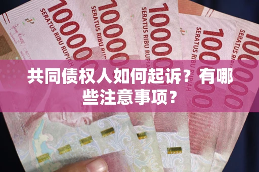 北京共同债权人如何起诉？有哪些注意事项？